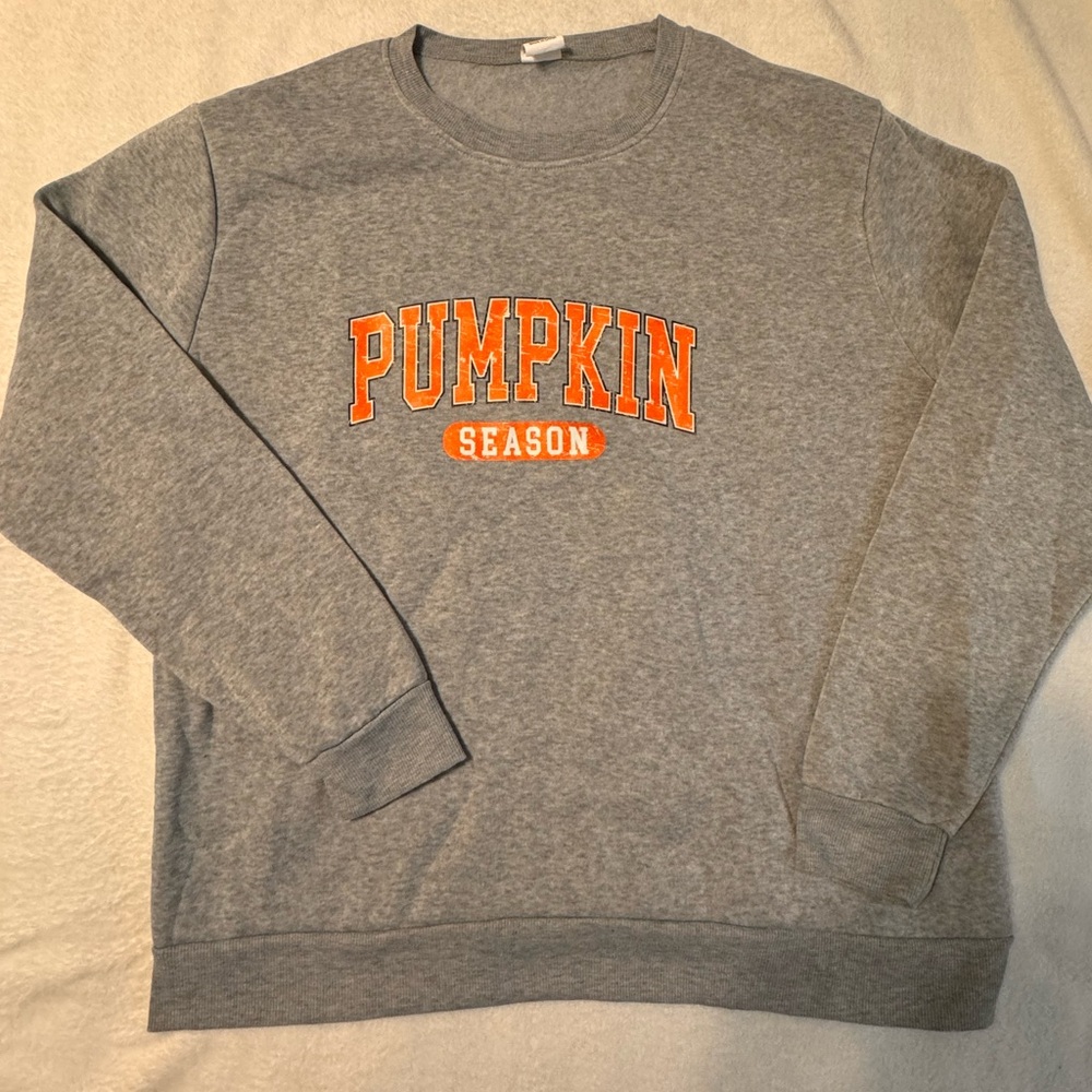 Women’s large Fall sweater